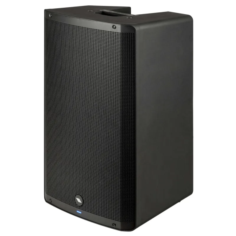 DIFFUSORE ATTIVO PROCESSATO 15″ 1000W — foto 1