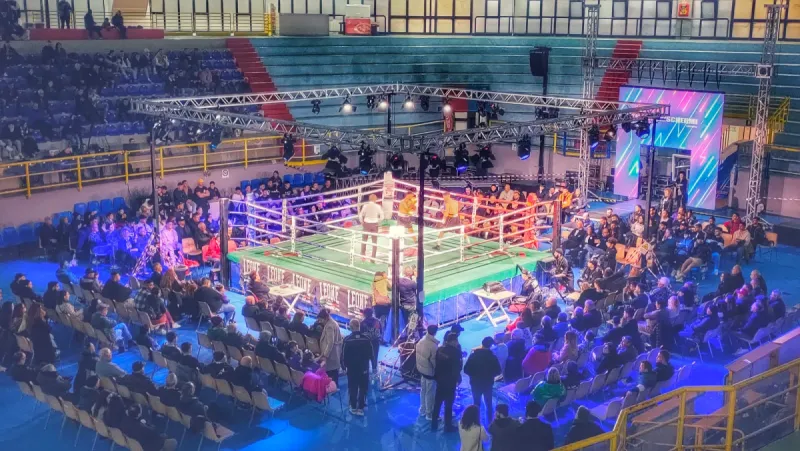 Fighting Sport (Premium) — foto 1