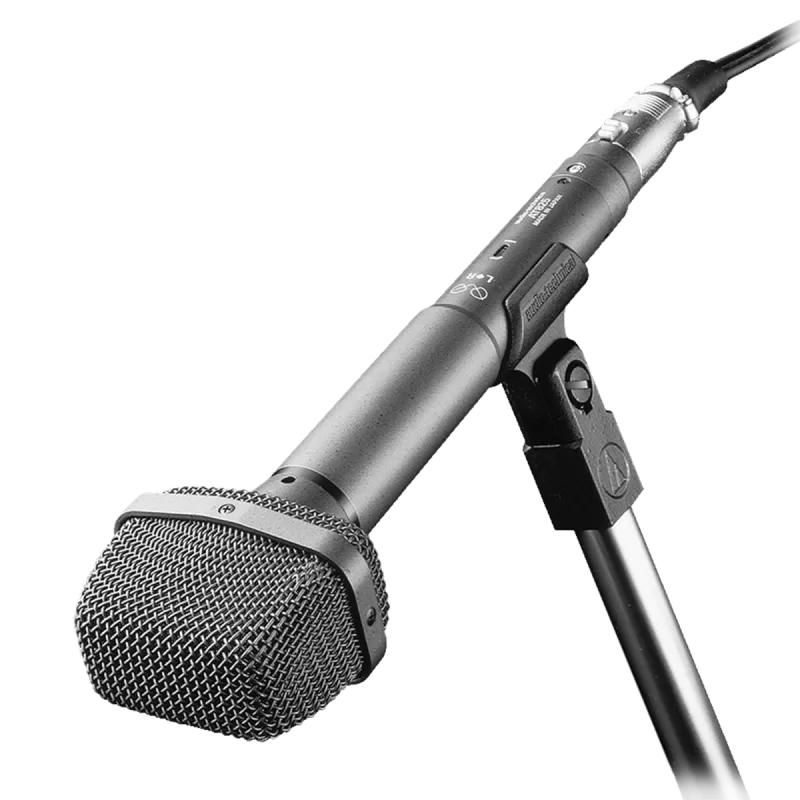 Condensatore Audio Technica AT825