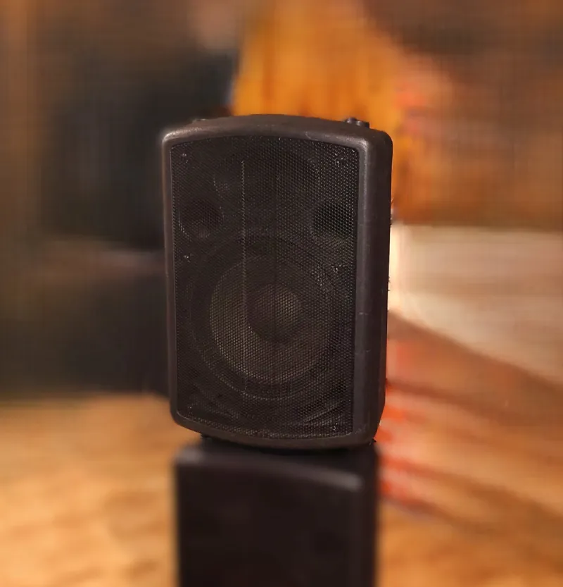 Diffusore attivo LEM P12A