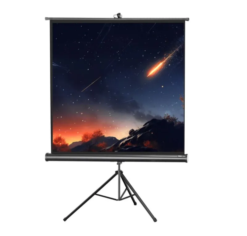 Schermo proiezione con treppiede 244x244cm Black Edition — foto 1